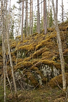 2010-05-02 18-45-59