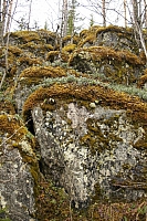 2010-05-02 18-46-42