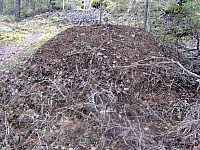 2010-05-02 18-51-02