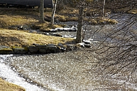 2010-05-02 19-40-06