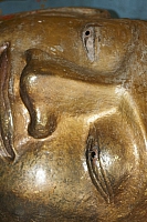 31