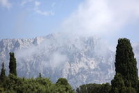 2015-08-14 11-52-03