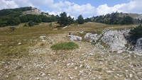 2015-08-16 13-14-54