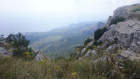 2015-08-16 13-18-21