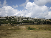 2015-08-16 13-58-27
