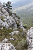 2015-08-16 14-23-06