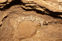 2015-08-16 15-42-37
