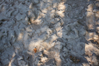 2015-08-21 18-20-16