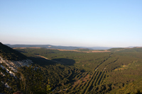 2015-08-21 18-39-37