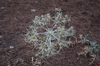 2015-08-15 20-22-16