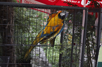 2015-08-19 17-19-15