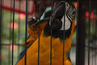 2015-08-19 17-19-20