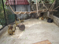2015-08-19 17-27-44