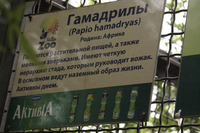 2015-08-19 17-34-42