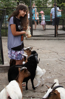 2015-08-19 17-49-37