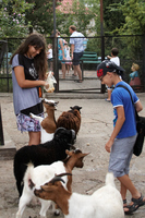 2015-08-19 17-49-40