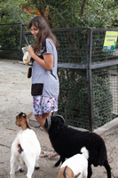 2015-08-19 17-49-51