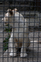 2015-08-19 18-12-39