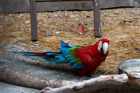 2015-08-19 18-53-57