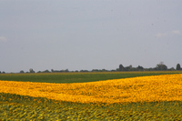 2012-07-23 10-35-09