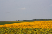 2012-07-23 10-35-12