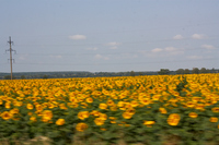 2012-07-23 10-48-58