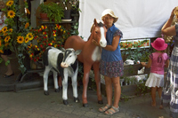 2012-07-27 16-52-36