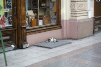 2012-07-27 17-25-21