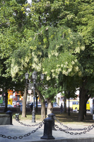 2012-07-27 18-01-54