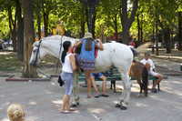 2012-07-27 18-06-26