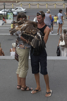 2012-07-27 19-48-53 1