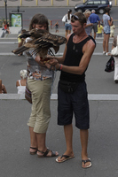 2012-07-27 19-48-55 1