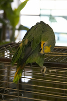 2012-07-27 20-37-58