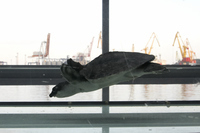 2012-07-27 20-39-56
