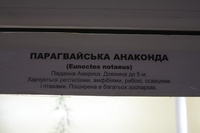 2012-07-27 20-46-06