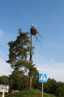 2012-08-04 10-17-21