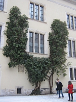 2007-12-31 16-46-48