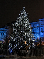 главная елка Кракова