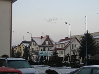 Hotel ''Delfin''