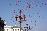 2008-04-05 16-14-20
