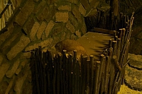 2011-05-21 22-57-19