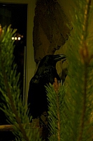 2011-05-21 23-03-59