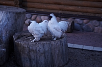 2011-05-21 23-21-21