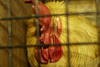 2011-05-22 00-00-47