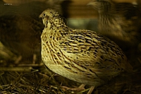 2011-05-22 00-01-23