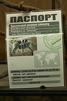 2011-05-22 01-04-07