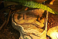 2011-05-22 01-22-54