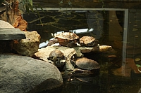 2011-05-22 01-58-07