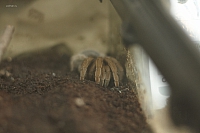 2011-05-22 02-01-29