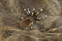 2011-05-22 02-03-23